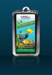 Green Marine Algae